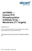 ab Human RTK Phosphorylation Antibody Array - Membrane (71 Targets)