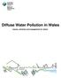 Diffuse Water Pollution in Wales. Issues, solutions and engagement for action.