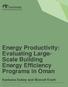 Energy Productivity: Evaluating Large- Scale Building Energy Efficiency Programs in Oman