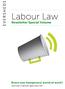 Labour Law. Newsletter Special Volume. Brave new (temporary) world of work? German Cabinet approves bill