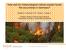 How well do meteorological indices explain forest fire occurrence in Germany?