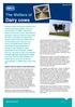 Dairy cows. The Welfare of. Cattle natural history and behaviour