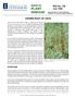 report on PLANT DISEASE CROWN RUST OF OATS