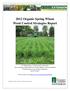 2012 Organic Spring Wheat Weed Control Strategies Report