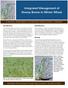 Integrated Management of Downy Brome in Winter Wheat