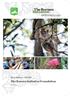 2014 ANNUAL REPORT. The Borneo Initiative Foundation. Public version