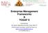 Enterprise Management Frameworks & TOGAF 9