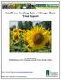 Sunflower Seeding Rate x Nitrogen Rate Trial Report