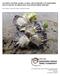 OLYMPIA OYSTER, OSTREA LURIDA, PILOT PROJECT IN NORTHERN PUGET SOUND, WASHINGTON: 2014 MONITORING REPORT