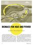 BIOMASS FOR HEAT AND POWER. By Richard L. Bain and Ralph P. Overend