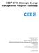 CEE SM 2016 Strategic Energy Management Program Summary