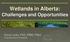 Wetlands in Alberta: Challenges and Opportunities. David Locky, PhD, PWS, PBiol Grant MacEwan University