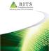 About BITS Consultancy Services