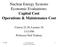 Nuclear Energy Systems Economic Evaluations: Capital Cost Operations & Maintenance Cost