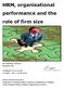 HRM, organisational performance and the role of firm size