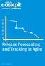 Release Forecasting and Tracking in Agile