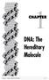 DNA: The Hereditary Molecule