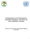 Workshop Report on the 2030 Agenda for Sustainable Development- Civil Society and Other Stakeholders Workshop