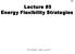 Lecture #5 Energy Flexibility Strategies