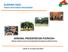 BURKINA FASO FOREST INVESTMENT PROGRAMME. GENERAL PRESENTATION FIP/REDD+ Ministry of Environment and Sustainable Development of Burkina Faso