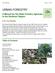 Tree Planting Page 1 of 29. A Manual for the State Forestry Agencies in the Southern Region