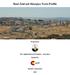 Bani Zeid ash Sharqiya Town Profile