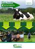 DAIRY XPANSION SERVICE. Dairy Start-Up. Dairy Grow. Dairy Step-Up