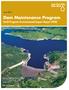 Dam Maintenance Program