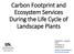 Carbon Footprint and Ecosystem Services During the Life Cycle of Landscape Plants