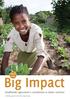 Smallholder agriculture s contribution to better nutrition. Small Scale. A briefing paper from the UK Hunger Alliance