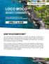 LOCO MOCO SECURITY CONFERENCE APRIL 3-6, 2018 WHAT IS LOCO MOCO SEC? Sponsorship Opportunities