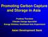 Promoting Carbon Capture and Storage in Asia
