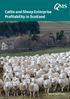Cattle and Sheep Enterprise Profitability in Scotland