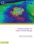 A Technical Basis For Carbon Dioxide Storage. Members of the CO 2. Capture Project Edited by: Cal Cooper, ConocoPhillips