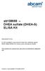 ab DHEA sulfate (DHEA-S) ELISA Kit