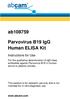 Parvovirus B19 IgG Human ELISA Kit