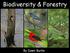 Biodiversity & Forestry By Dawn Burke
