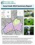 Carp Creek 2013 Summary Report