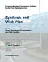 Synthesis and Work Plan
