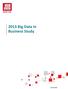 2013 Big Data in Business Study