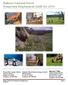 Bighorn National Forest Temporary Employment Guide for 2014