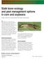 Stalk borer ecology and pest management options in corn and soybeans