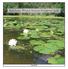 Dane County Wetlands Resource Management Guide