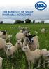 THE BENEFITS OF SHEEP IN ARABLE ROTATIONS A NATIONAL SHEEP ASSOCIATION PUBLICATION