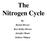 The Nitrogen Cycle. Rachel Brewer Kaci Kelley-Brown Jennifer Moats Dolleen Wiltgen