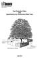 Parks, Forestry & Recreation Urban Forestry. Tree Protection Policy and Specifications for Construction Near Trees