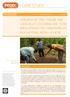 A REVIEW OF TREE TENURE AND LAND RIGHTS IN GHANA AND THEIR IMPLICATIONS FOR CARBON RIGHTS IN A NATIONAL REDD+ SCHEME