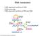RNA metabolism. DNA dependent synthesis of RNA RNA processing RNA dependent synthesis of RNA and DNA.