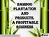 Bamboo Plantation and Products, a Profitable Business