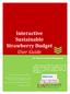 Interactive Sustainable Strawberry Budget User Guide